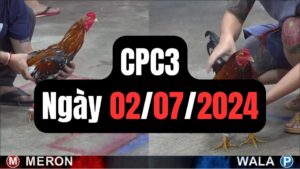 Trực tiếp đá gà CPC3 02-07-2024