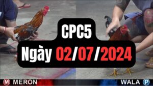 Trực tiếp đá gà CPC5 02-07-2024